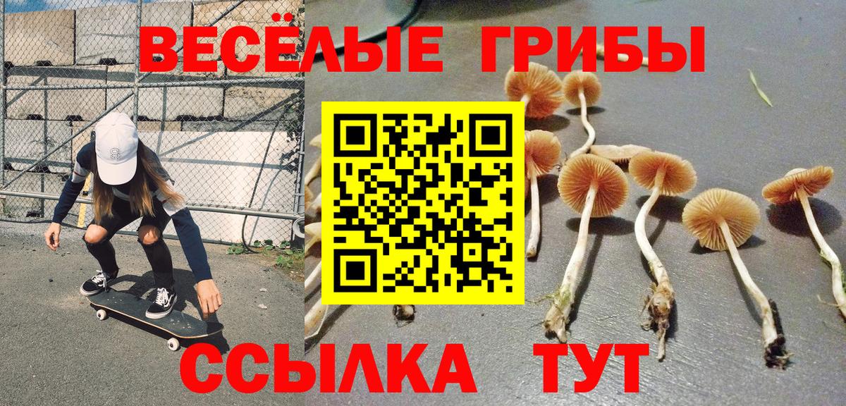 Острогожск  Галлюциногенные грибы ЛСД  закладки  Вход с VPN 