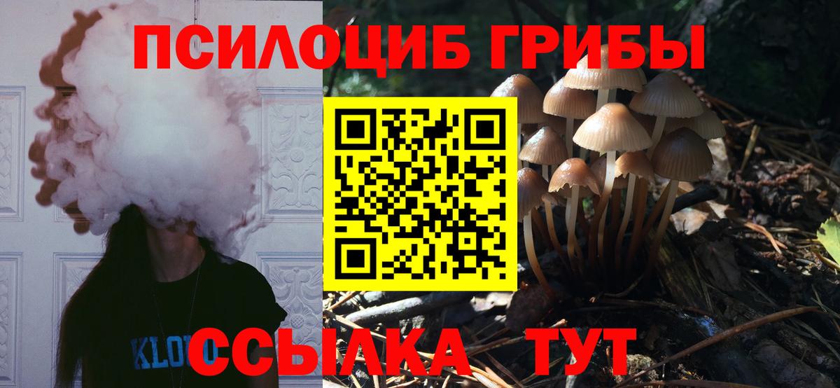 Псилоцибиновые грибы мухоморы Острогожск